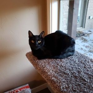 Meet your Posher, Ann